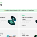 쌩비전공자 아마스에잇 UXUI포트폴리오반 상담 후기