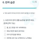 아이언펫