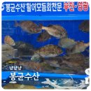 강서수산시장 봉균수산 온누리 상품권 비플페이 내돈내산 후기