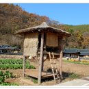 초전고택 티스토리