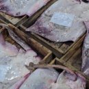 양동수산시장1 이미지