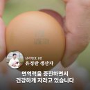 진가식품 | 무항생제 유정란의 진가! 20구 후기
