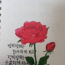 베르사유노래연습장 네이버블로그