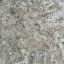 영등원광어린이집 이미지