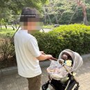 5개월 아기랑 올림픽공원 피크닉 후기