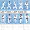 스타태권도장 이미지