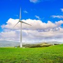 창대목장 이미지