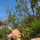 경택농장 이미지