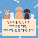 메디힐동물병원 이미지