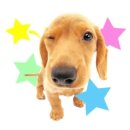 오렌즈경기광주점 | 7월 블로그