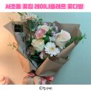 레이나플레르 이미지