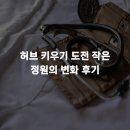 허브 키우기 도전 작은 정원의 변화 후기