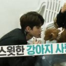 안도 이미지