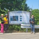 월정방풍림 이미지