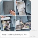 스페이스플로라 이미지