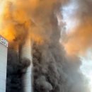 분당-310 이미지