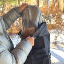 고프빌리 이미지