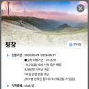영동힐사우나 | [평창여행] 평창 '반값여행'으로 다녀온 39개월 아이와 1박 2일 총정리