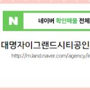 대명공인중개사사무소 네이버블로그