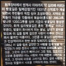 금강나염 | [①경남 하동-화개십리벚꽃길,쌍계사십리벚꽃] 2017년 봄꽃축제/봄꽃여행 홍익여행사 BEST10 -추천 봄꽃...