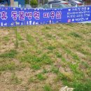 휴 애견미용 네이버블로그