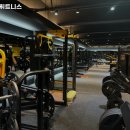 타이거 휘트니스 이미지