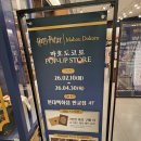 파코라반베이비 현대백화점(판교) | [분당 판교역] 가볼만한 곳, 현대백화점 해리포터 팝업 스토어 후기