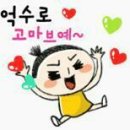 준이네수선