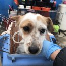 대부중앙로 이미지