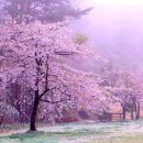 작천정7(입구) 이미지