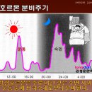 키크는 운동 총정리-모든 운동은 키 크는데 플러스- 광주성장클리닉 이미지