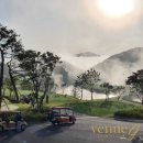 베뉴지 cc 이미지