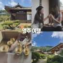 조선의 아름다운 선비들 | 영주 여행 사유의정원 부석사 선비세상 힐링요가 가볼만한곳