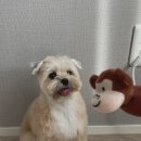 와르아르 이미지