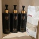 프리모 | 제주도 숙소 제주도 가족 숙소 추천 더 시에나 프리모 후기