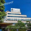 산과바다 | 강릉호텔 산과바다 베니키아호텔 주문진리조트 솔직후기