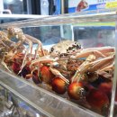 대모회센타 이미지