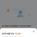 하루낙지 네이버블로그