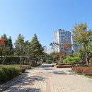 고인돌공원건너 이미지