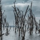 카페구석 이미지