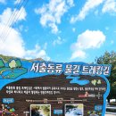 서출동류 물길 트레킹 길 | 거창가볼만한곳 서출동류 물길 트레킹 황점마을에서 선수교까지