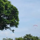 카매니지먼트 | 제주 중문CC 한라~해안코스 6월 라운드 후기｜바다와 한라산을 동시에 품은 제주 대표 골프장