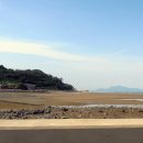 청산도전복나라