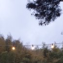 오죽원 네이버블로그