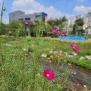 비로소 가을 이미지