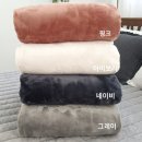 내담디자인 Daum카페