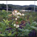 세윤농장 이미지