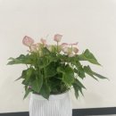 우드버닝 북디자인 이미지