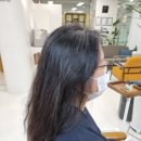 더포레헤어 이미지