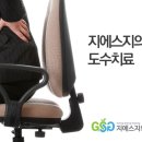 지에스지 이미지